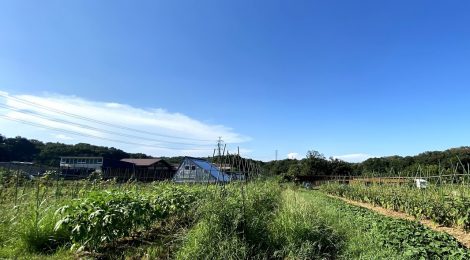 野菜で地域と「つながる」社員食堂エンキッチン 野菜のパートナーをご紹介